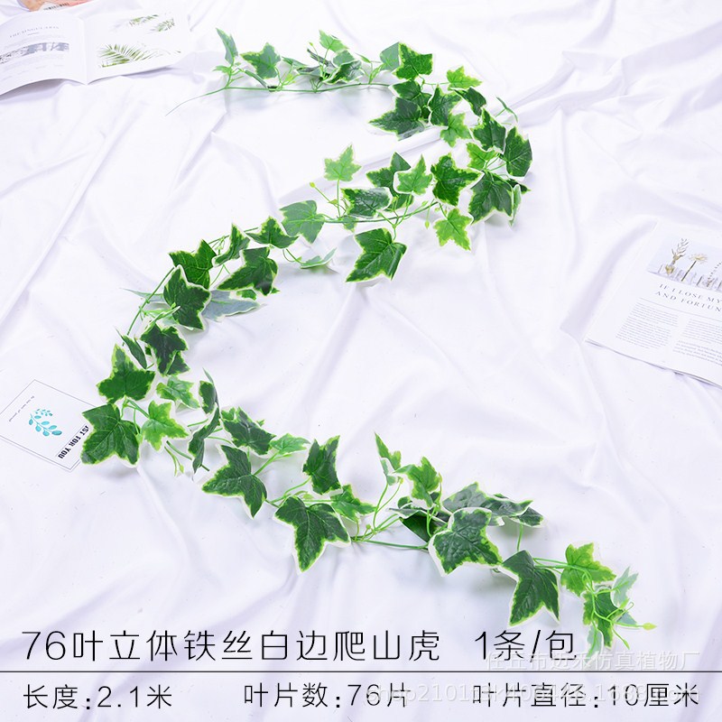 76 piezas de alambre de hierro hoja de goma borde blanco escalada Tigre (1 pieza)