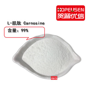 ���� L-���� L-CARNOSINE ���g�w &beta;-������-L-�M���� ����