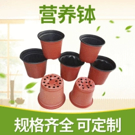 花盆容器