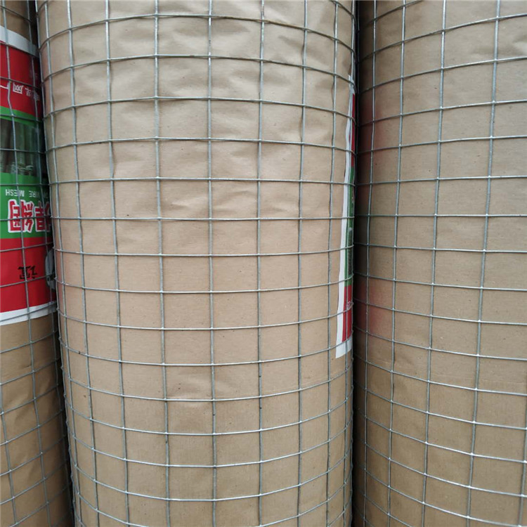 厂家销售铁丝网 镀锌电焊网 外墙保温铁丝网镀镀锌电焊网