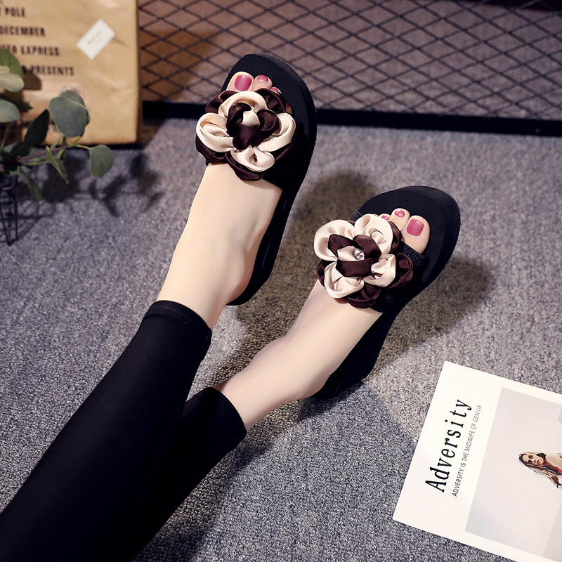 6cm M + 다크 브라운