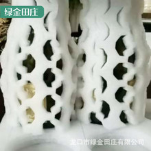 �S�����l�t����ĭ�� ������b��ĭ�� ���Ѿ���ĭ��PE��ĭ���l