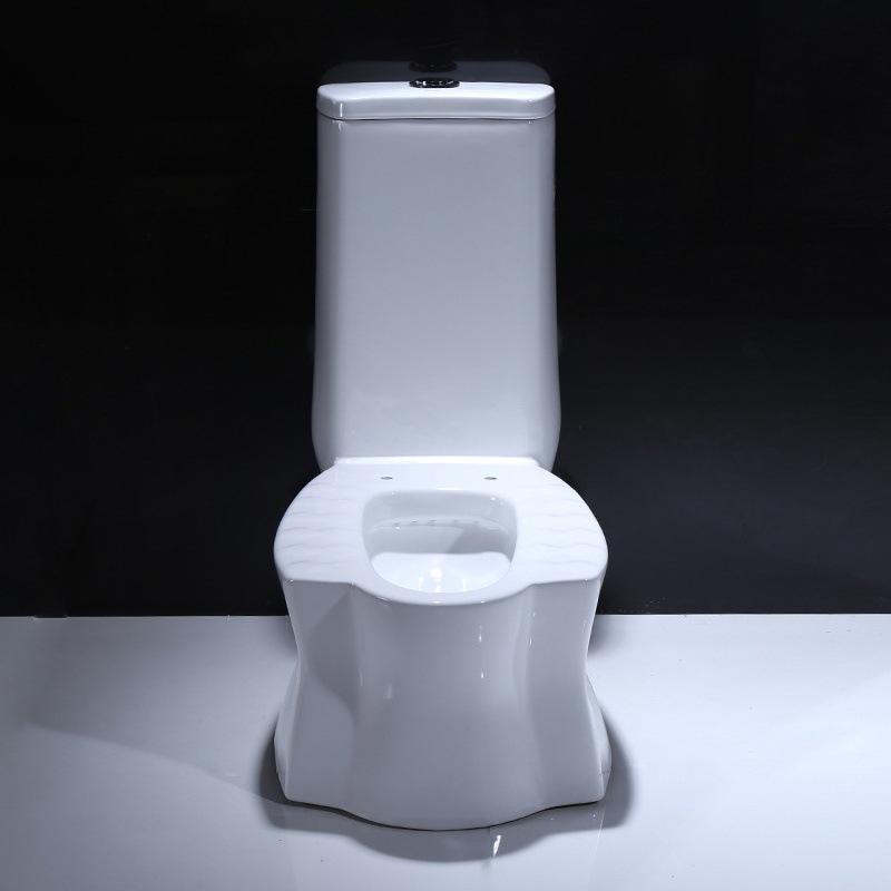 Guangdong cuclillas de doble propósito aseo de doble propósito Hotel en cuclillas inodoro de alto apoyo