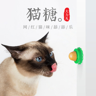 �S��ֱ�N ������Ʒ؈����ʳ ؈������ͨ�àI�B���������M����