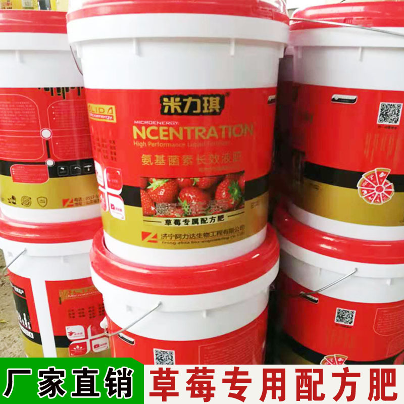 大棚草莓膨大增甜专用肥 生根壮苗着色增甜 海藻酸冲施肥氨基酸