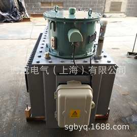 高压调压器三相馈线调压器调压器高压增压器输配电调压器3000KVA
