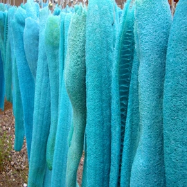 其他小宠用品;鸟类;狗狗玩具