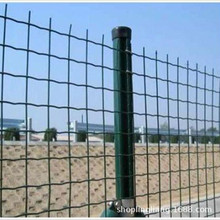 荷兰铁丝网价格浸塑荷兰网批发厂价销售 荷兰网 养殖圈地围栏网