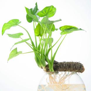 ǧ���^�����Դ���������ˮ�^��ˮ��Gֲ�^�~�����҃ȵ�ˮ�^��