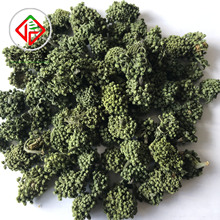 工厂徽信远头茬新货三七花茶不熏硫磺文山7年三七花 产地直销批发