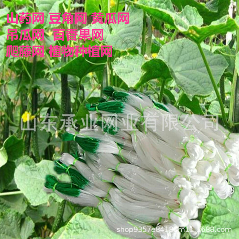 Planta escalada de vid Red de escalada rack Yam Net colgando melón pepino red frijol cuerno red escalada soporte de plantación neta fábrica al por mayor