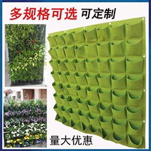园林植物种植袋垂直绿化植物墙壁挂式无纺布毛毡立体绿化墙布袋子