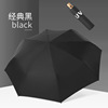 Automatic umbrella, fresh fashionable handle, custom made