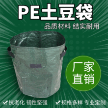 ҎRȫPENֲ RtNֲ tֲ߲L