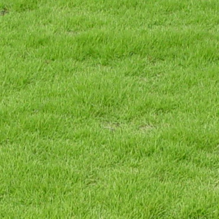 Прямые поставки настоящего газона для мини-гольфа в Маниле с почвой, натурального и искусственного.