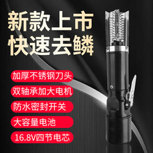 늄ӹ~[ȥ~[ȫԄ~[ٹ[~ߟoˢ[C