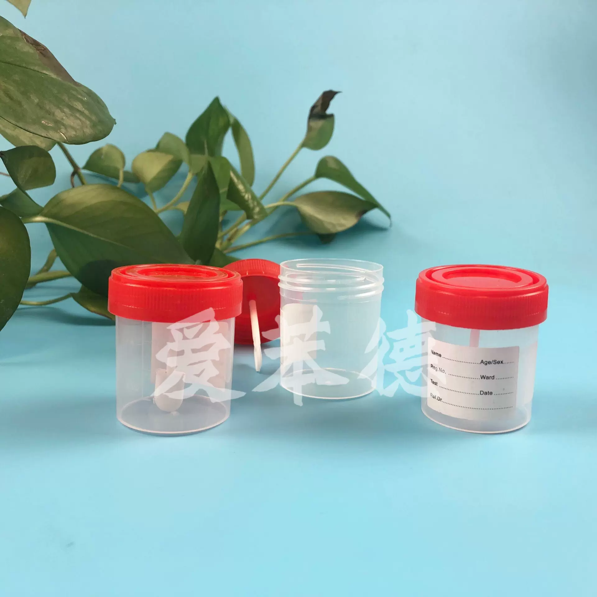 一次性塑料40ml尿杯 螺口刻度 医院检验用 小便采样杯