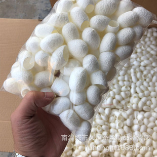 ɣ�Q���������Q�O�_����ָ�Q�z��A7�坍ָ��28���b�S�����l�o�w