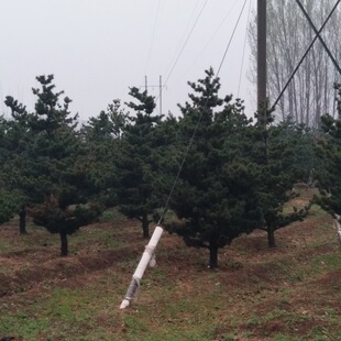 �������l�@�քe���^�p��ľ����� ���G����� Ҏ����� ���󃞻�