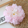 Diameter 15cm9 color peony flower head wedding decoration home decoration road leading flower wall with simulation flowers