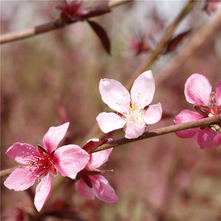 ��ľ�������l�t�~���� ���~�һ��� ���NҎ���L���� �@�־G��