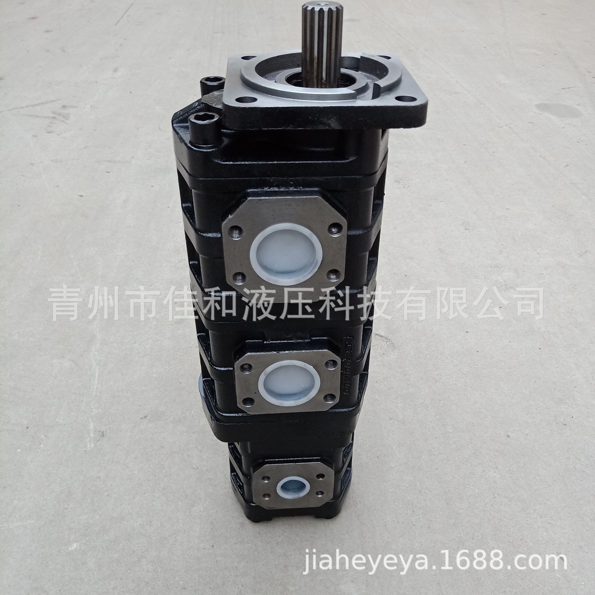 XZ16三一重工三联齿轮油泵803000069