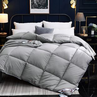 New Quilt Twill Anti-Feather Cloth Winter Quilt Spring & Fall Quilt Feather Velvet Quilt Feather Silk Quilt Thickeneded Warm Gift Quilt Core