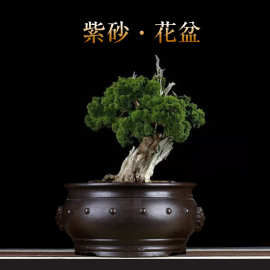 紫砂兰花盆古典老庄黑松榕树阳台摆件客厅盆景盆手工陶瓷批发绿植