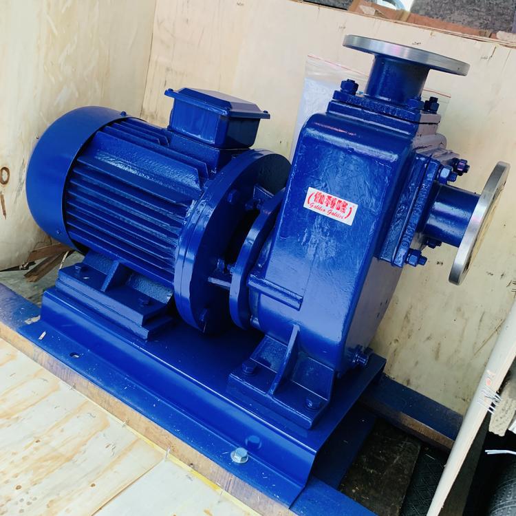 ZX铸铁卧式高扬程强吸程水泵自动不锈钢自吸泵 伽利略品牌