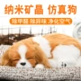 除异味仿真车载车内竹炭包