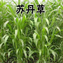 �ߵ��ݷN�Ӹ߮a��~�s���K�����������iţ�����Z�~�O���]