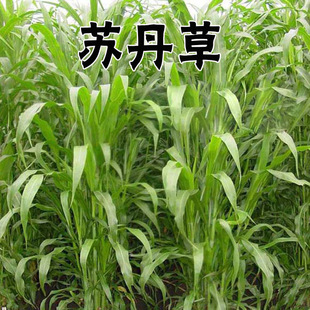 �ߵ��ݷN�Ӹ߮a��~�s���K�����������iţ�����Z�~�O���]