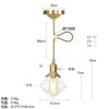 Dt0203 transparent color