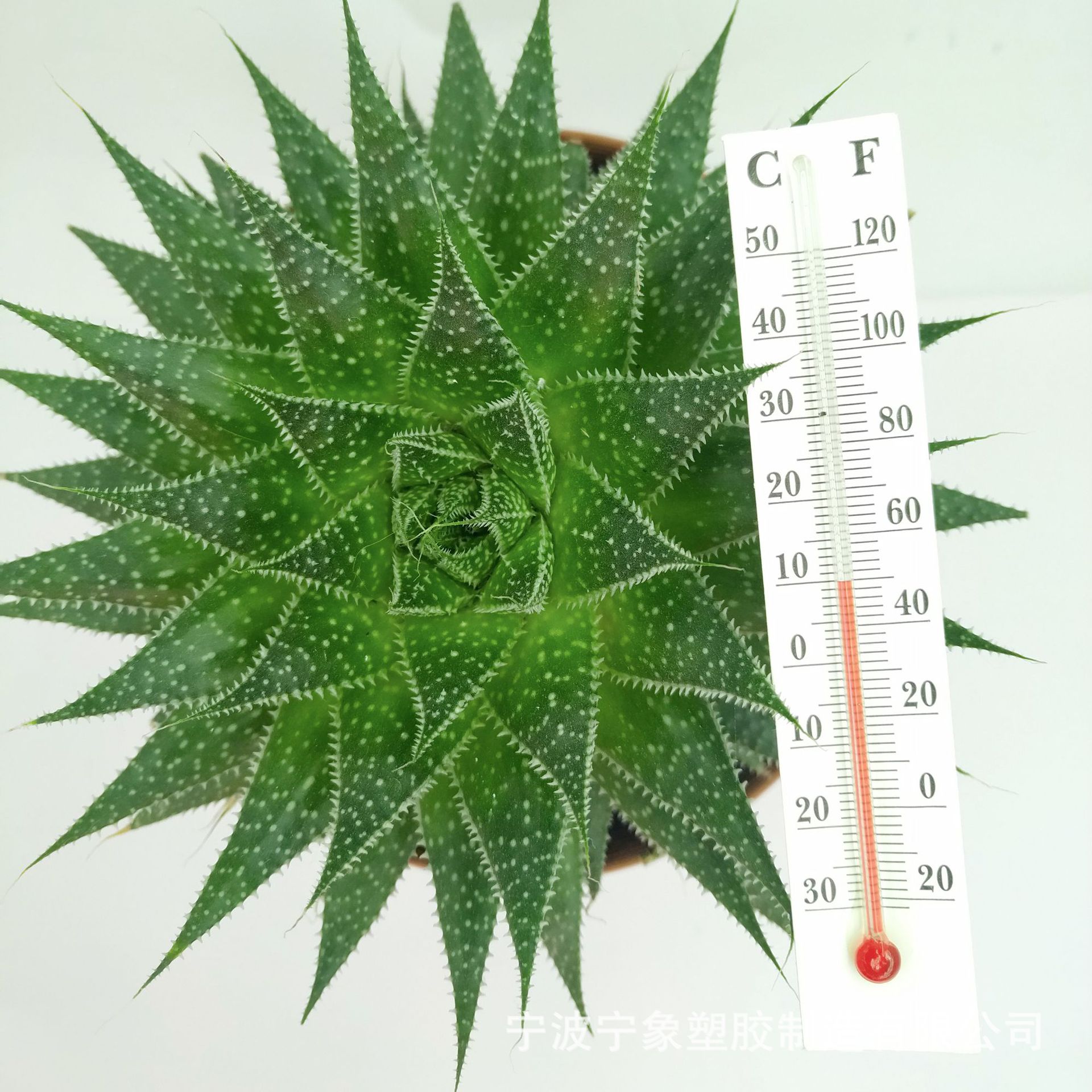 本司专业制造纸板温度计大棚养蚕学生专用工艺配件128*23mm玻璃