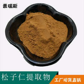 松籽仁提取物10:1 松子仁提取物 水溶 松子仁浸膏粉 松籽仁提取
