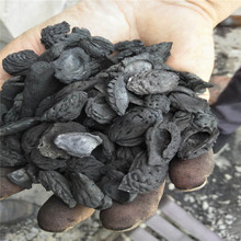 �F؛����ԭ��̿��������̿ ��ˮ������������̿̿���� ��N��̖