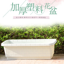 ������ϻ��� �����̨�N�˷N���L���ηNֲ���� �Ӻ����ϻ������l