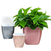 The new imitation metal flower pot modern European ins -style G color spot wholesale lazy flower pot self -absorbing cotton rope