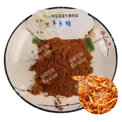 Cordyceps Extract 10:1, Cordyceps Powder, Water Soluble, Large Quantity Discount Cordyceps Extract
