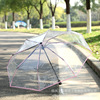 Genuine automatic fresh umbrella for beloved, fully automatic