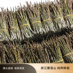 �a��؛Դ��Uɽ�FƤʯ���r�l  șʳͬԴ�z�������㽭�FƤʯ���r