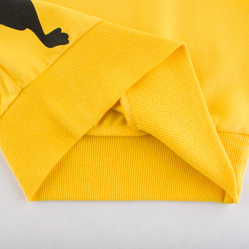 Korean fashion children's clothing autumn new products 2024 children's clothes children's dinosaur sweatshirt consignment ins