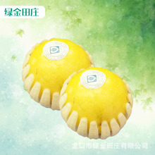 ˮ��ɏ����W�� pe��ĭˮ�����o�� �Ӻ����ϰ��b����ɏ����