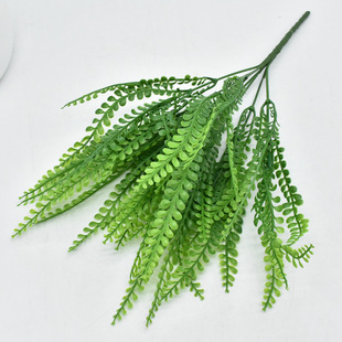 ����ֲ���� 7��ˮ�ݲ�˹  ާ�ֲ�� �����~����