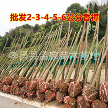 l ľ ̈@־Gľ NҎRȫ r