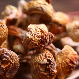 ����خa���׾�һ��؛Դ���l ������ʳ�ü����׮a��ֱ�N����ă�