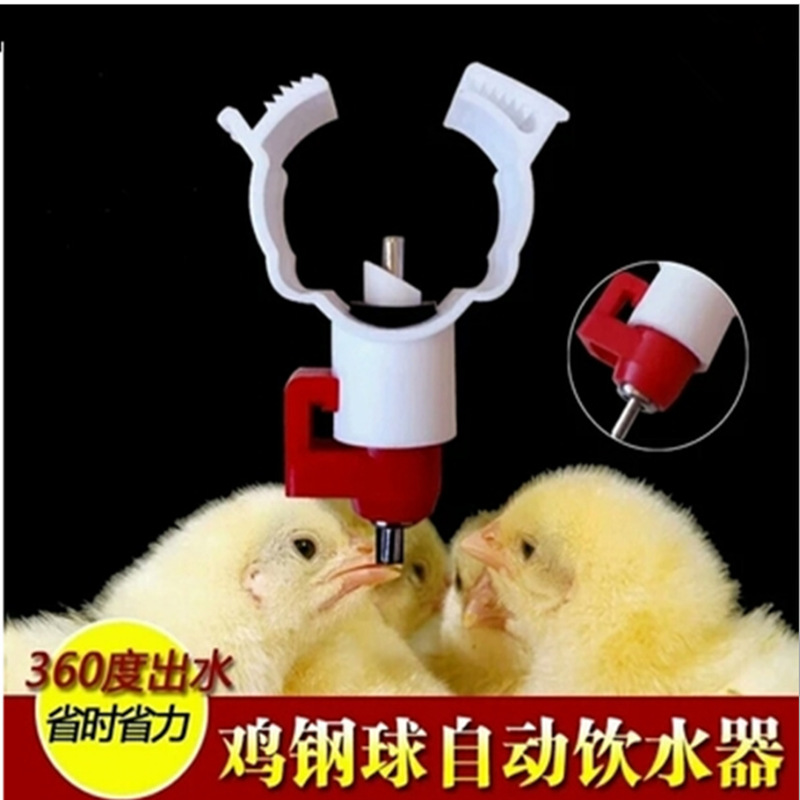 Bola de acero automático bebedor para la alimentación de pollo tarjeta válvula de bola pezón bebedor de pollo alimentación de agua automática