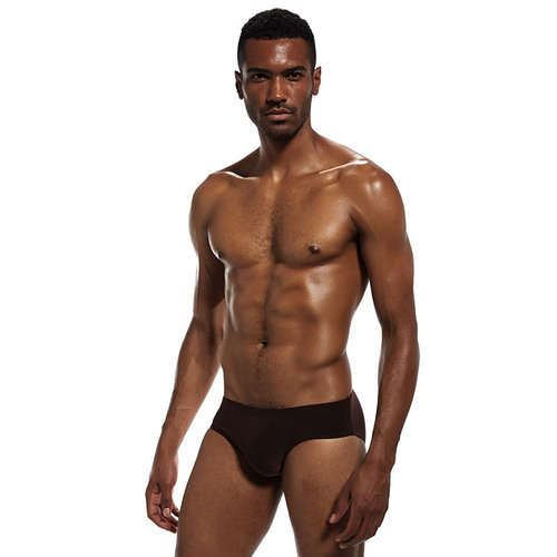 Commodore Men's Polyester Ice Silk Triangular Underwear Plain Color Low-rise Sexy Men's Underwear Wholesale Foreign Trade Underwear