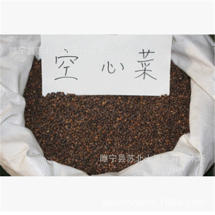 Прямые продажи воды семена шпината мелкие семена тыквы семена цуккини большие семена тыквы гарантия качества