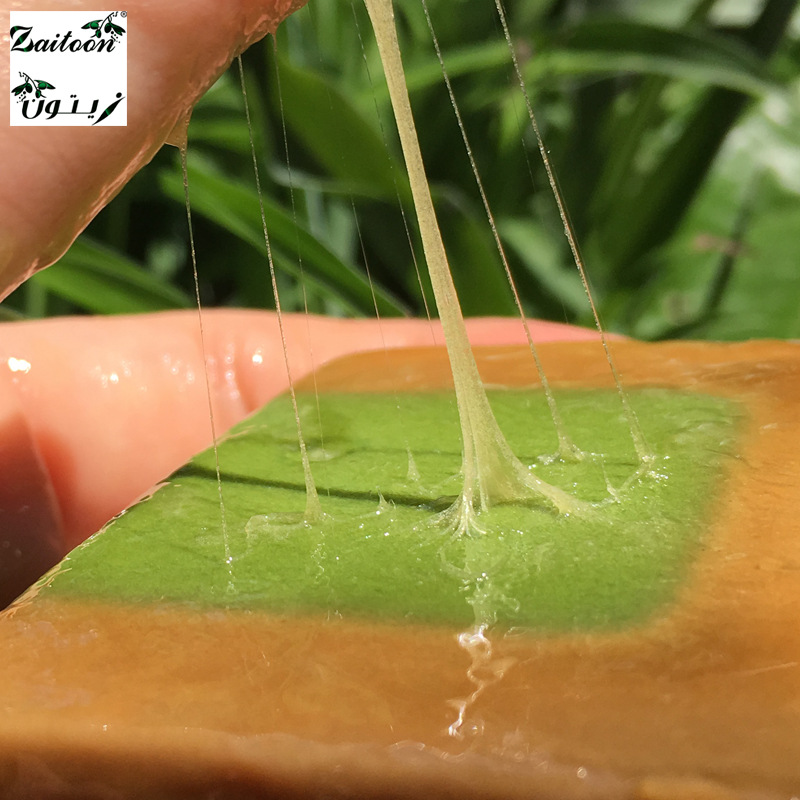 ZAITOON Imported Syrian Handmade Soap Ancient Soap Aleppo Olive Essential Oil Soap Cleansing Makeup Remover Pregnant Women Cleaning